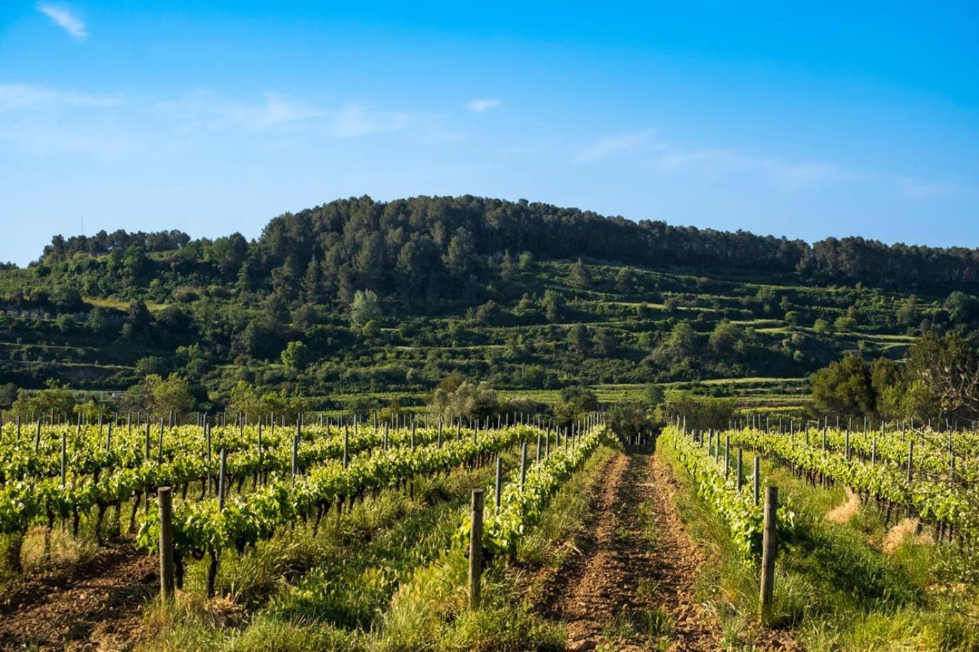 Hotel Air Penedes ヴィラフランカ・デル・ペネデス エクステリア 写真